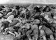 Turkey / Armenia: The corpses of Armenian citizens massacred by Turkish forces during the Armenian Genocide, c. 1915
